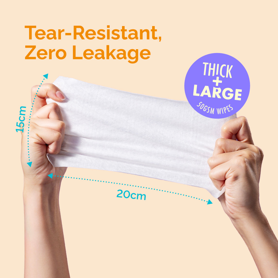 [CARTON DEAL] Hoppi Antibacterial Wipes (80 Wipes x 12 Packs)